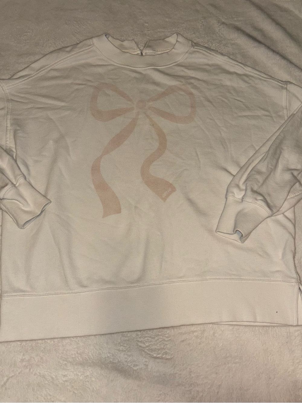 Aerie Sweatshirt